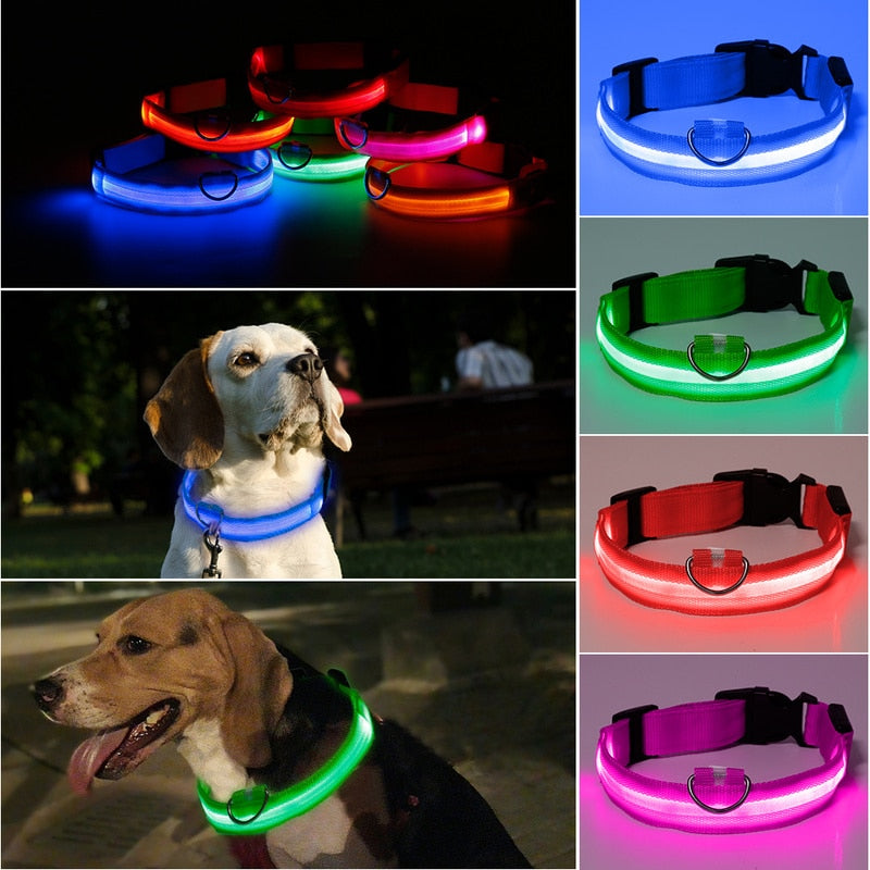 Glow in the Dark LED Pet Collar
