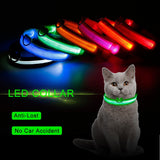 Glow in the Dark LED Pet Collar