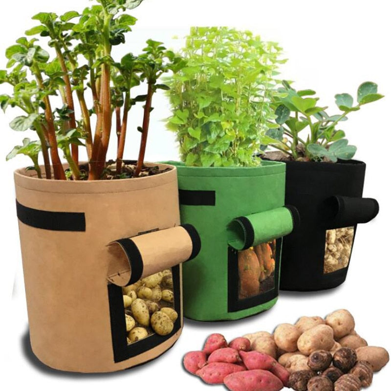 Perfect Potato Plant Grow Bags